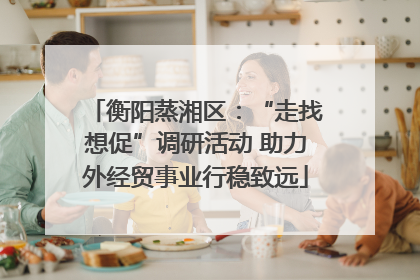 衡阳蒸湘区：“走找想促”调研活动 助力外经贸事业行稳致远